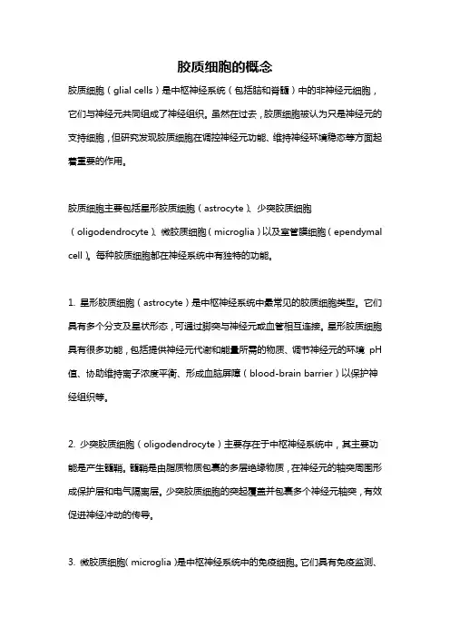 胶质细胞的概念