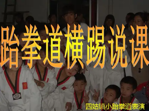 跆拳道说课PPT课件