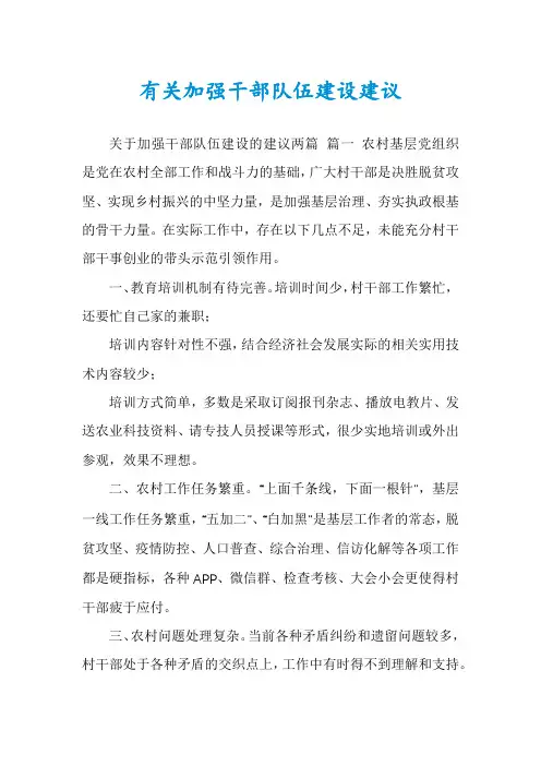有关加强干部队伍建设建议