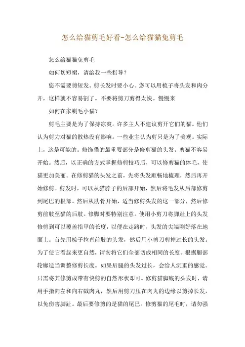 怎么给猫剪毛好看-怎么给猫猫兔剪毛