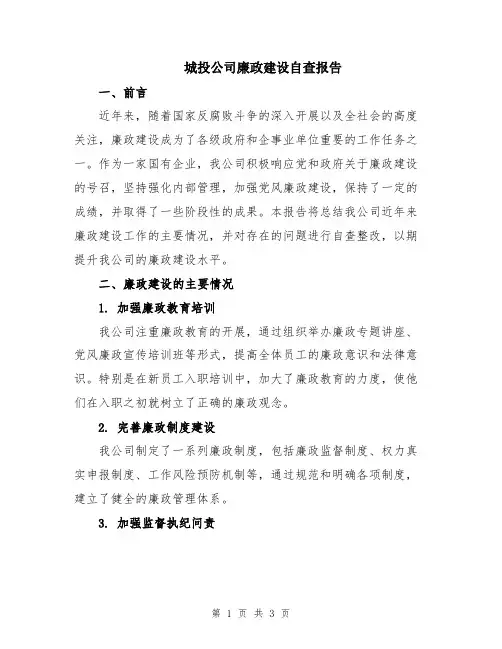 城投公司廉政建设自查报告