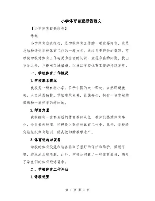 小学体育自查报告范文