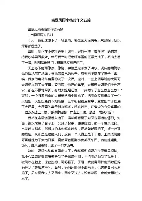 当暴风雨来临时作文五篇