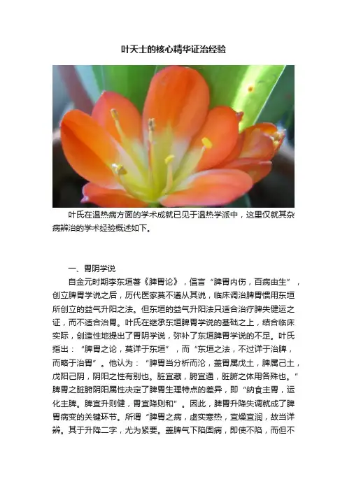 叶天士的核心精华证治经验