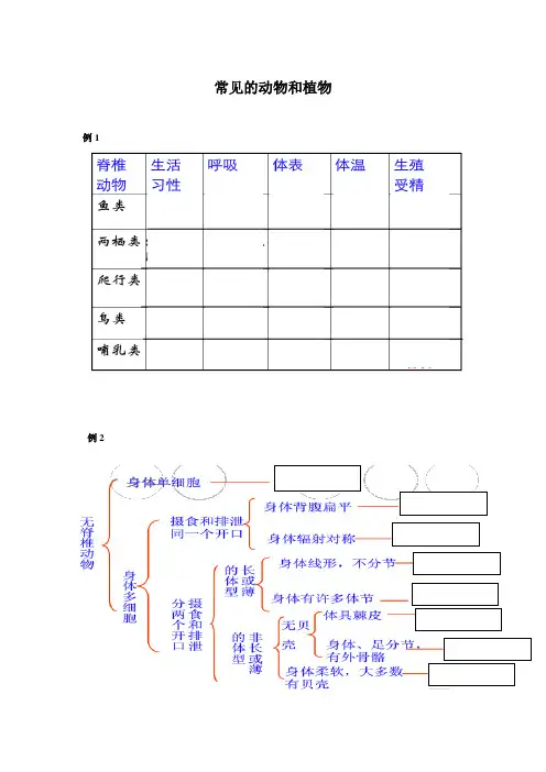 常见的动物植物 练习