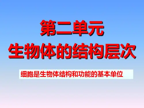 练习使用显微镜课件(25张)(人教版生物)