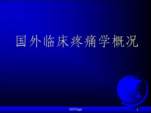 《疼痛学基础》PPT课件