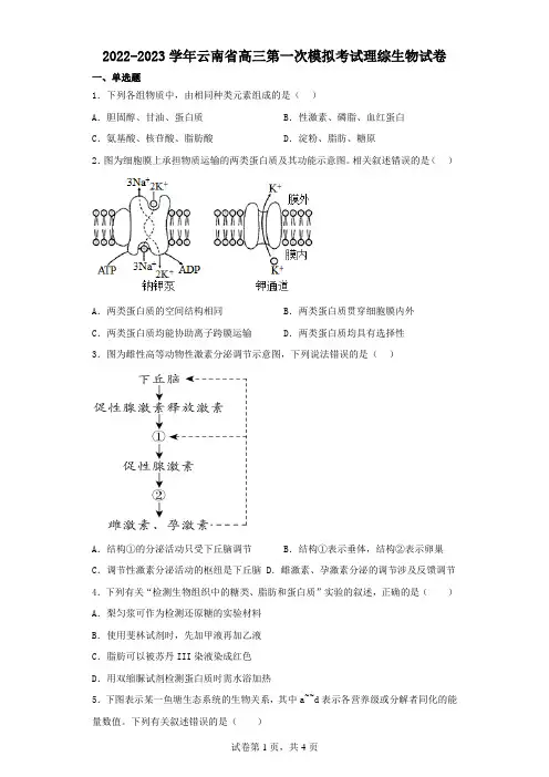 2022-2023学年云南省高三第一次模拟考试理综生物试卷(含解析)