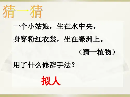小学语文修辞手法(六种常见修辞)