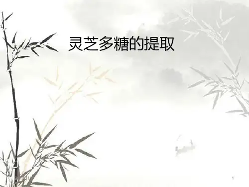 灵芝多糖提取PPT课件