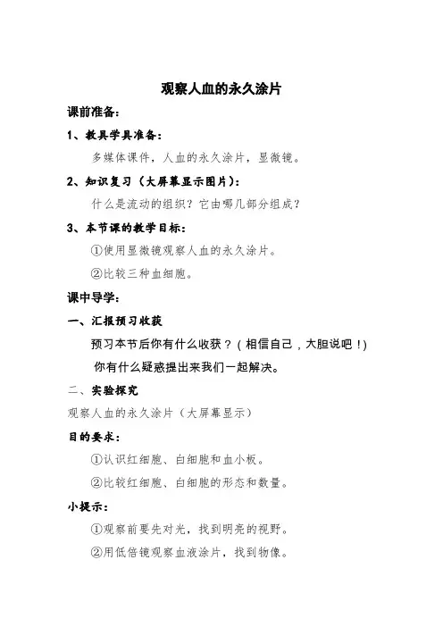 观察人血的永久涂片