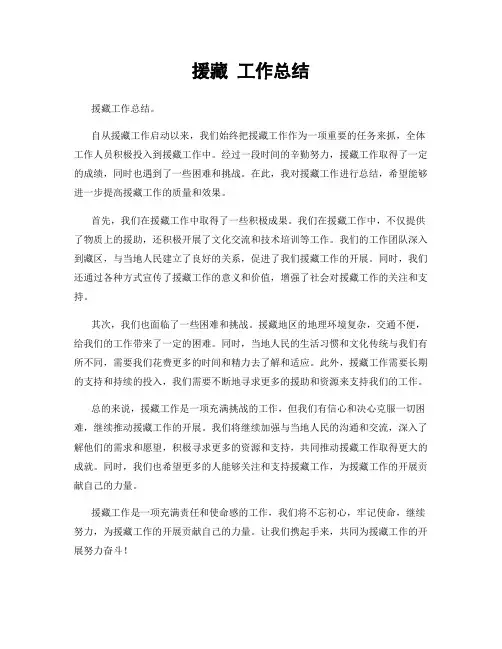 援藏 工作总结