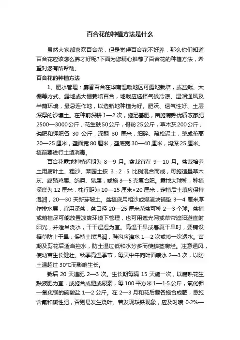 百合花的种植方法是什么
