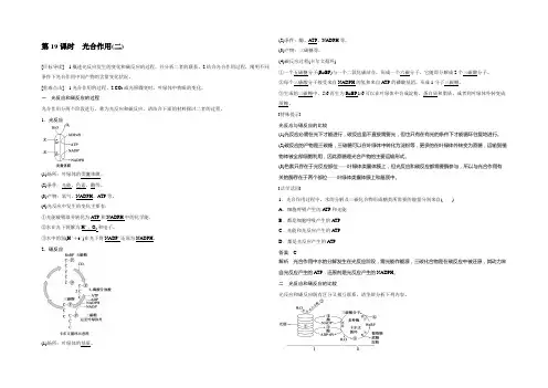 2022生物浙科版必修1学案：第三章 19 光合作用(二) 
