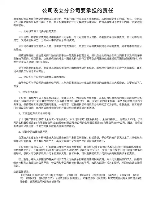 公司设立分公司要承担的责任