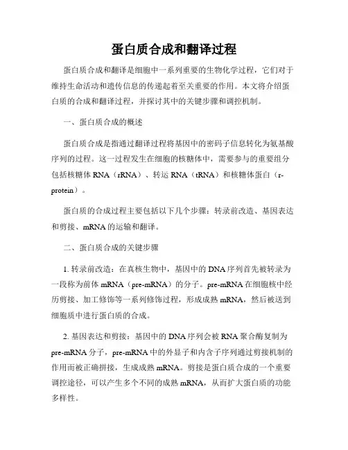 蛋白质合成和翻译过程