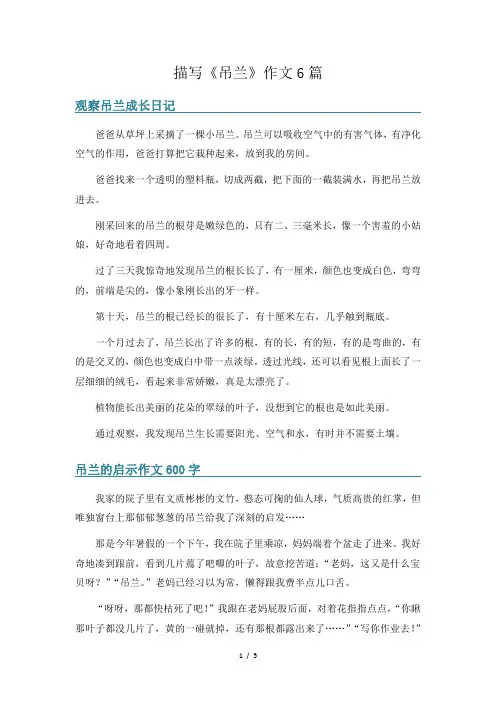 描写《吊兰》作文6篇
