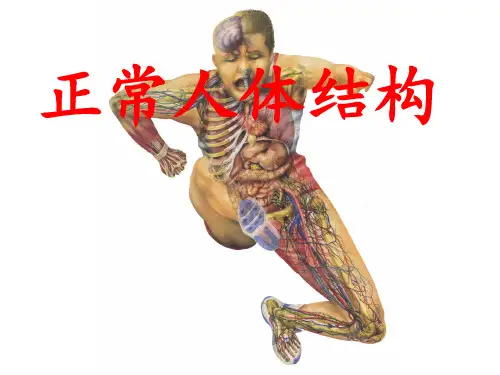 正常人体结构与功能教学课件：第一单元 人体结构与基础第一章概述