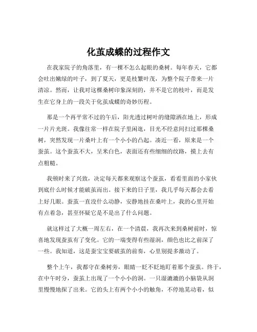 化茧成蝶的过程作文