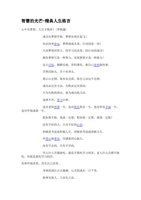智慧的光芒