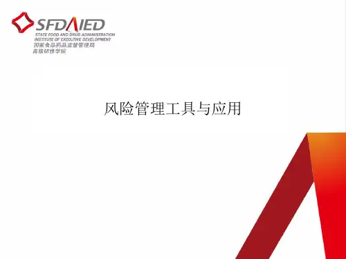 风险管理-风险管理工具与应用教材(PPT89页)