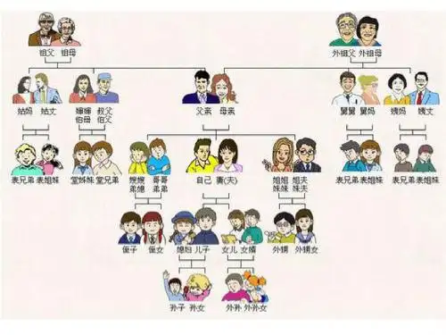亲戚关系称呼图解