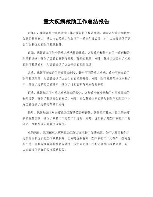 重大疾病救助工作总结报告