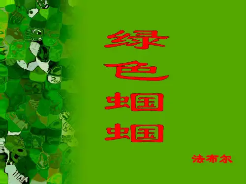 人教版初中初一七年级上册语文：23 _绿色蝈蝈