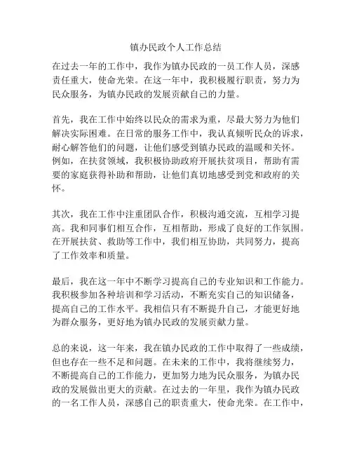 镇办民政个人工作总结