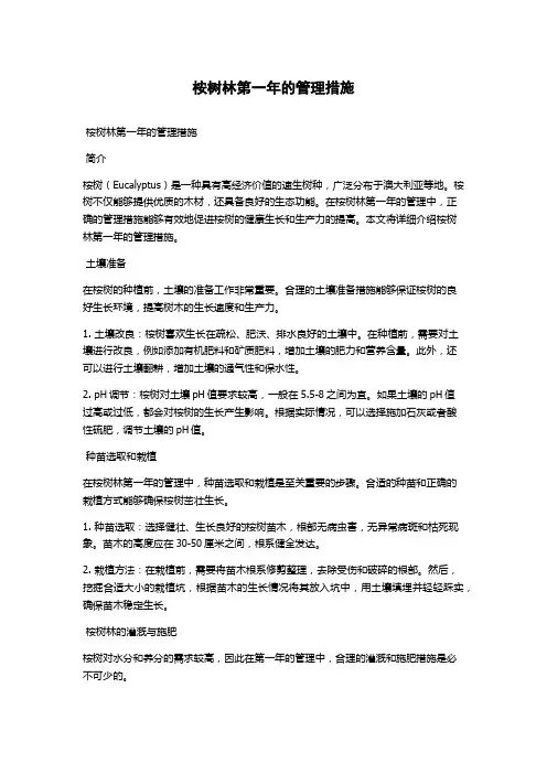 桉树林第一年的管理措施
