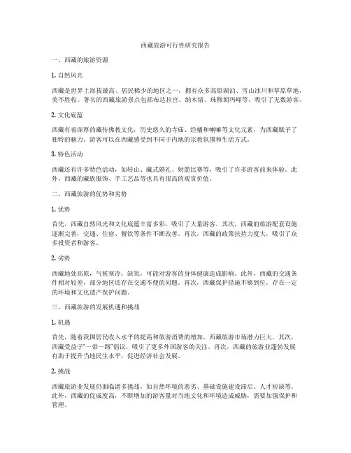 西藏旅游可行性研究报告