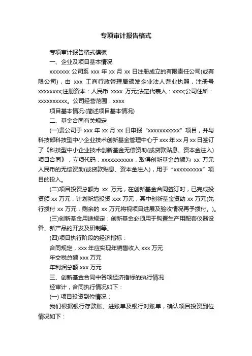 专项审计报告格式