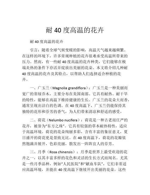耐40度高温的花卉