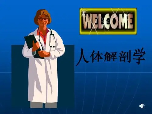 绪论骨总论