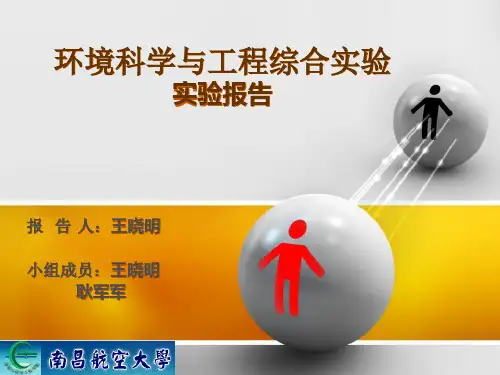 实验报告