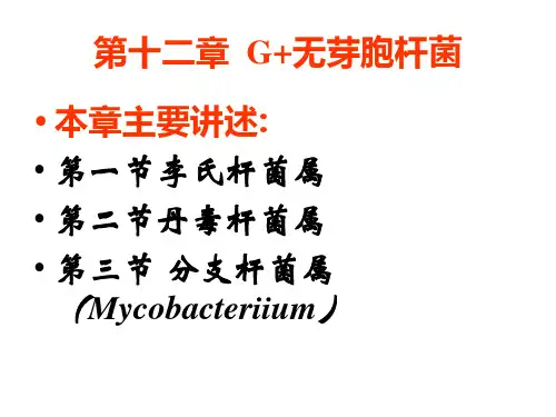 兽医微生物学-革兰氏阳性无芽胞杆菌(李氏杆菌+丹毒杆菌+分枝杆菌)