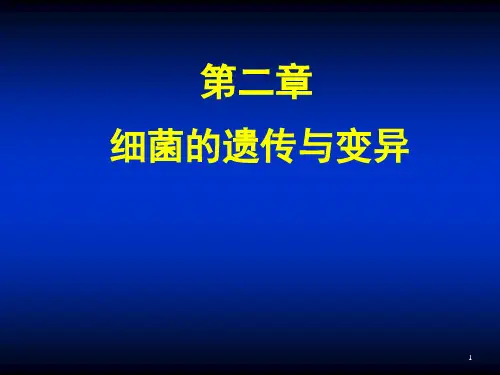 细菌的遗传与变异ppt课件
