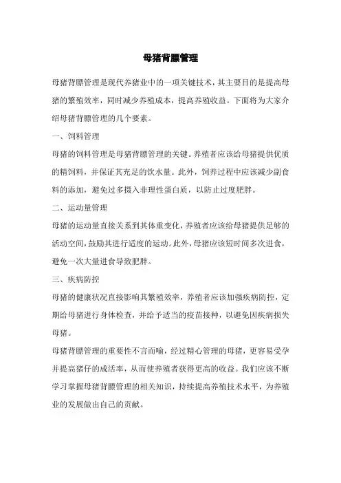 母猪背膘管理