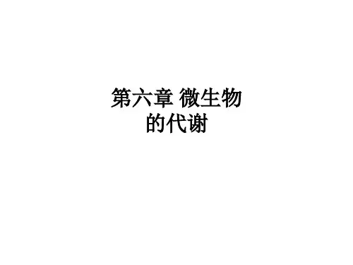第六章 微生物的代谢ppt课件
