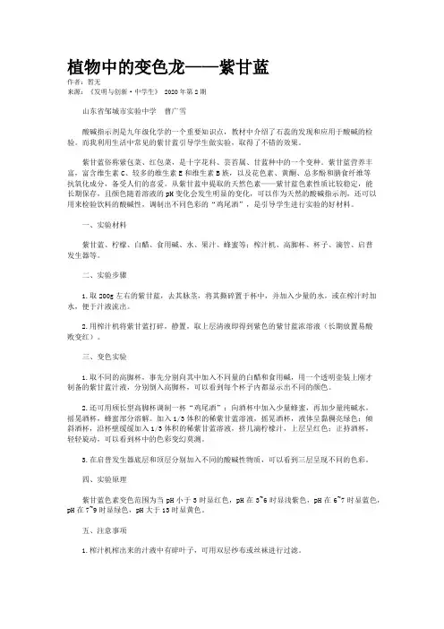 植物中的变色龙——紫甘蓝