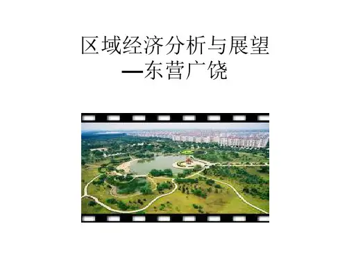广饶区域分析