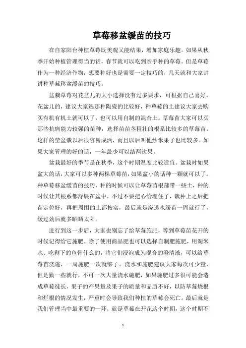 草莓移盆缓苗的技巧