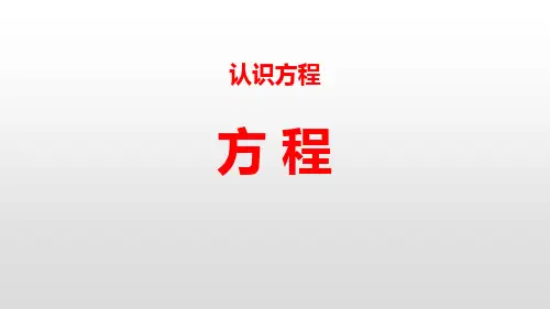 《认识方程——方程》数学教学PPT课件(2篇)
