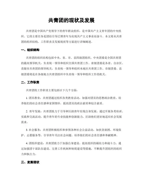 共青团的现状及发展