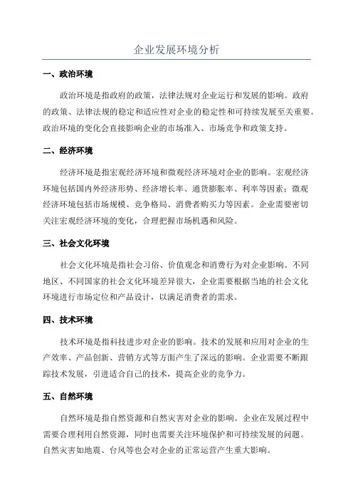 企业发展环境分析