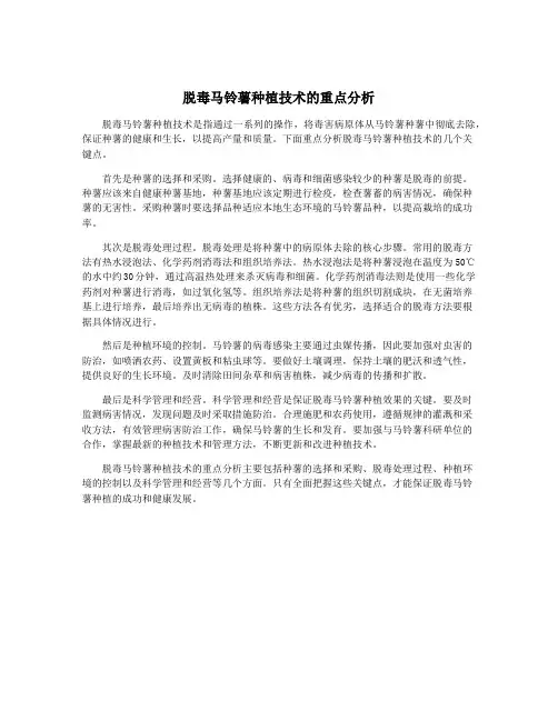脱毒马铃薯种植技术的重点分析