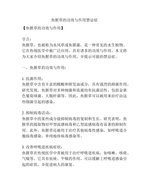 鱼腥草的功效与作用禁忌症