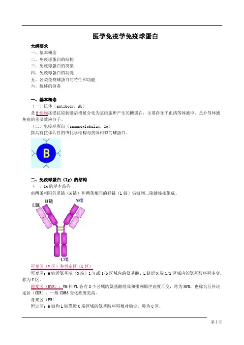 医学免疫学免疫球蛋白