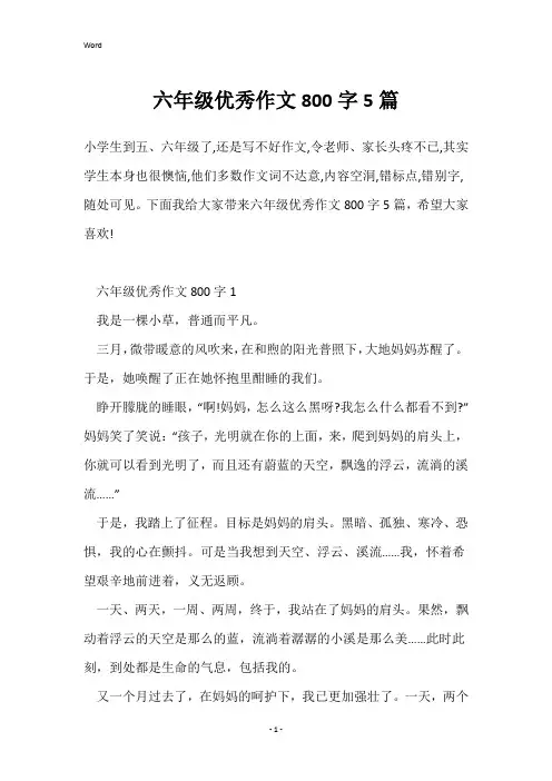 六年级优秀作文800字5篇