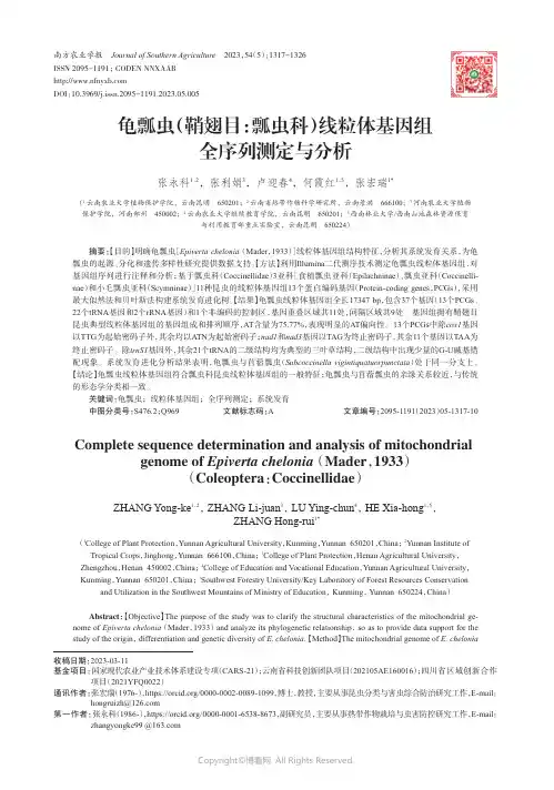 龟瓢虫（鞘翅目：瓢虫科）线粒体基因组全序列测定与分析